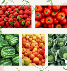 Velika ponudba sadja in zelenjave Podravska