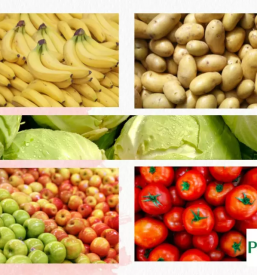 Kvalitetno sadje in zelenjave Savinjska