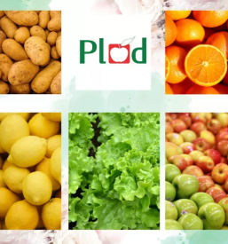 Nabava sadja in zelenjave Štajerska