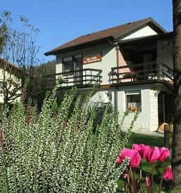 Prost apartma most na soci