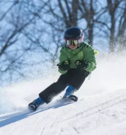 Servis smuci stajerska