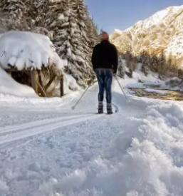 Servis smuci stajerska