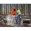 GOZDARSKE STORITVE, IZIDOR POŽGAJ, S.P.