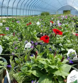 Vrtni center Štajerska