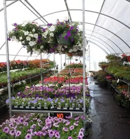 Vrtni center stajerska