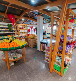 Diskontna prodaja sadja in zelenjave