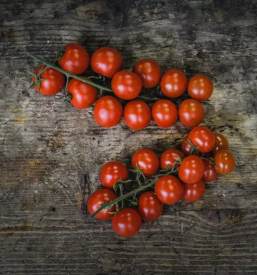 Diskontna prodaja zelenjave Savinjska