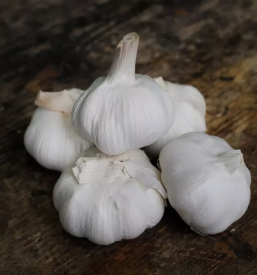 Zelenjava ŠTajerska