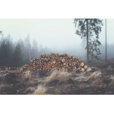 GOZDARSKE STORITVE DAVID BIDER S.P.