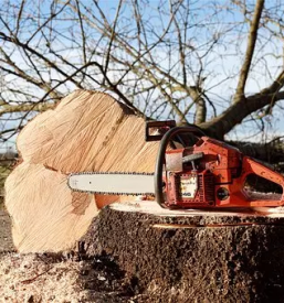 Prodaja gozdarske opreme bela krajina