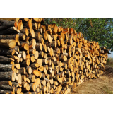 BAJA, SEČNJA IN SPRAVILO LESA, MILENKO BAJIĆ, S.P.