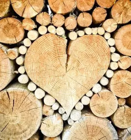 Secnja in spravilo lesa osrednja slovenija
