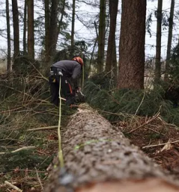 Secnja in spravilo lesa osrednja slovenija
