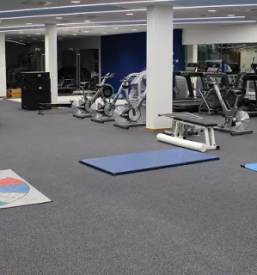 Vinili in sportni podi slovenija