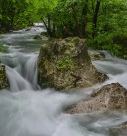 Terapija za družine