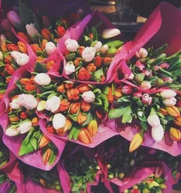 Cvetlicarna ravne na koroskem