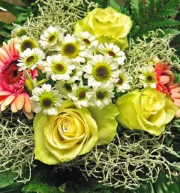 Cvetlicarna ravne na koroskem