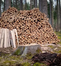 Gozdarske storitve odkup in prodaja lesa primorska notranjska