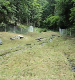 Javno komunalno podjetje dravograd