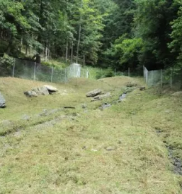 Javno komunalno podjetje dravograd