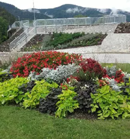 Javno komunalno podjetje dravograd