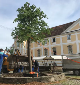 Komunala slovenska bistrica