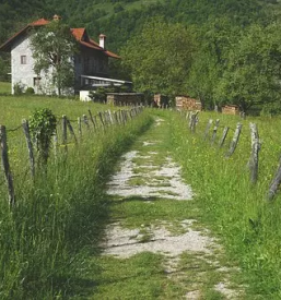 Kvalitetno urejanje okolice savinjska