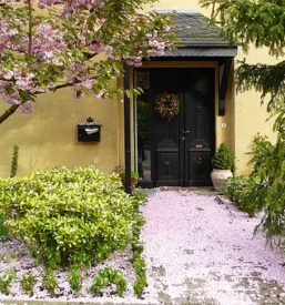 Kvalitetno urejanje okolice savinjska