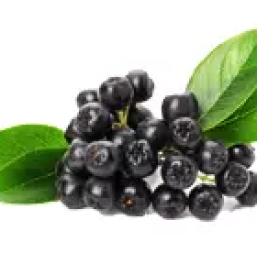 Laserski izrez lesa in graviranje lesa in kovin stajerska