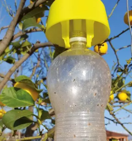 Prodaja vab pasti za insekte slovenija