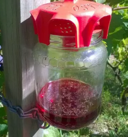 Prodaja vab pasti za insekte slovenija