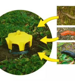 Prodaja vab pasti za insekte slovenija