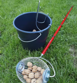 Rocni pobiralci orehov slovenija