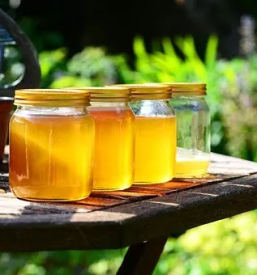 Slovenski med jesenice, gorenjska