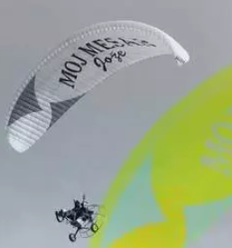 Slovensko meso smarje pri jelsah