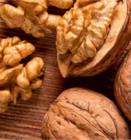 Stroji za pobiranje orehov slovenija