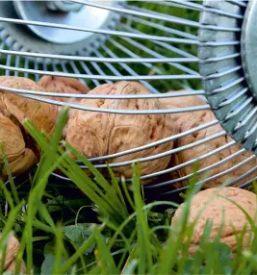 Stroji za pobiranje orehov slovenija