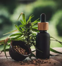 Strokovno svetovanje na podrocju kanabinoidov ljubljana