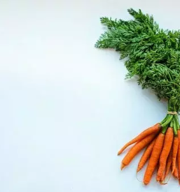 Ugodna predelava zelenjave slovenija