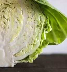 Ugodna predelava zelenjave slovenija