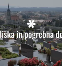 Vzdrzevanje cestisc slovenska bistrica