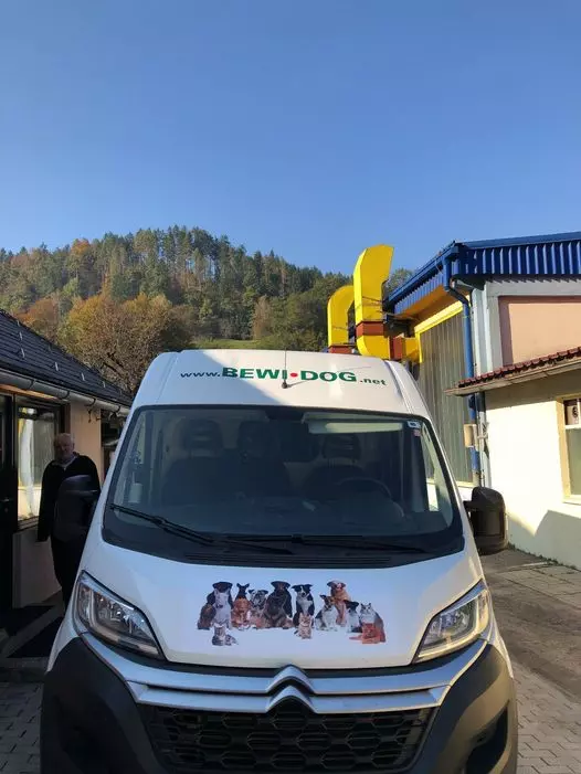 Brezglutenska hrana za pse in mačke Slovenija