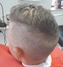 Moško striženje Lesce