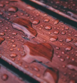 Obnova in zascita lesenih povrsin goriska