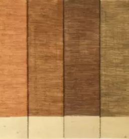 Obnova in zascita lesenih povrsin goriska