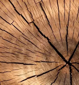 Peskanje lesa savinjska