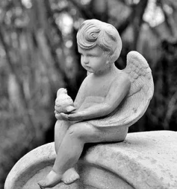 Pogrebne storitve koroska