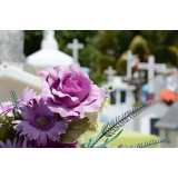 JAVNO KOMUNALNO PODJETJE LOG D.O.O.