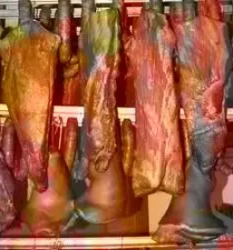 Pohano peceno meso pooljcane