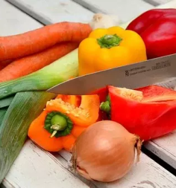 Spakirana zelenjava stajerska